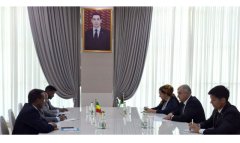Туркменистан и Эфиопия обсудили развитие транспортного сотрудничества