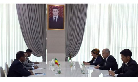 Туркменистан и Эфиопия обсудили развитие транспортного сотрудничества