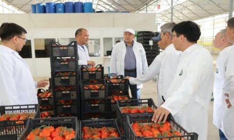Обсуждение поставок туркменских фруктов и овощей в Актау укрепляет сотрудничество
