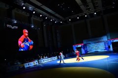 Сборная Туркменистана успешно стартовала на Кубке мира по самбо в Ереване