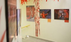 В Дарвиновском музее открылась выставка фотоснимков о культуре Китая