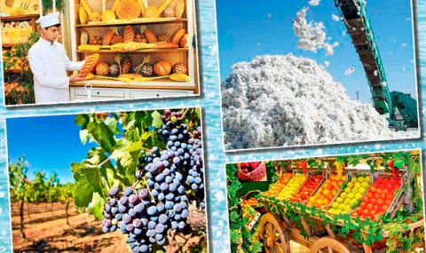 В Туркменистане представили планы сельскохозяйственного комплекса на 2026 год