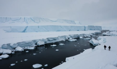 Ученые открыли устойчивый оазис в Западной Антарктиде