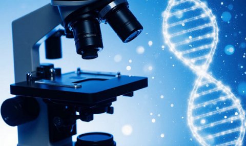 Будущие родители в России смогут пройти генетические тесты бесплатно