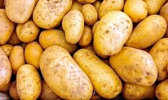 В Дашогузском велаяте планируют получить рекордный урожай картофеля