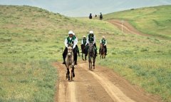 В Ахалском велаяте состоялся конный марафон