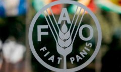 Международная конференция по питанию и здоровью пройдет в Ашхабаде