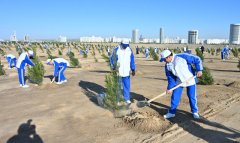 Сердар Бердымухамедов участвовал в осеннем этапе программы по озеленению