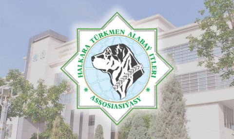 В Ашхабаде прошло V заседание Международной ассоциации «Türkmen alabaý itleri»