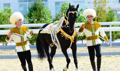 Туркменские традиции коневодства получают международное признание