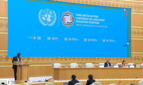 В Авазе продолжается пленарное заседание конференции ООН