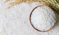 Земледельцы Дашогузского велаята планируют собрать рекордный урожай риса