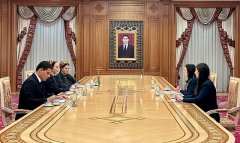 Новый посол Ирландии приступила к работе в Туркменистане