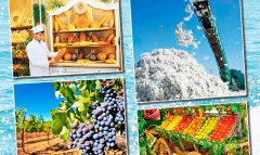 Президент Туркменистана поручил обеспечить своевременные расчёты с аграриями