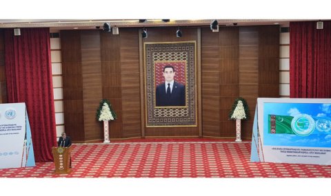 Международное сотрудничество стало темой конференции в ИМО МИД Туркменистана