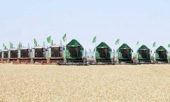 В Туркменистане стартовала зерноуборочная кампания 2025 года