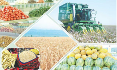 Производство сельхозпродукции в Туркменистане выросло на 11,9 %