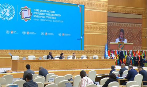 Авазинская повестка: Австрия подтверждает приверженность поддержке LLDCs