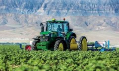 В сельхозсекторе Туркменистана продолжаются сезонные работы