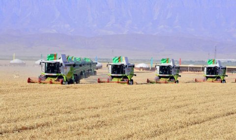 Развитие сельского хозяйства в Марыйском велаяте обсудили на рабочем совещании