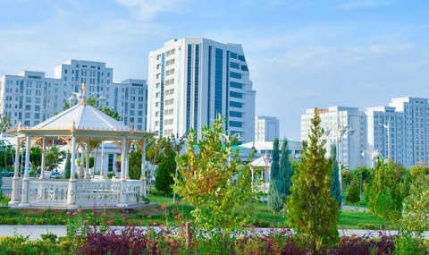 В Туркменистане стартовала финальная стадия Аральской и Лесной программ
