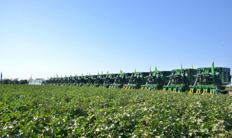 Аграрии Туркменистана приступили к сбору хлопка