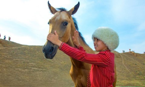 Впервые отмечается Всемирный день лошади — важное событие для Туркменистана