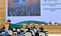 Замглавы МИД Туркменистана выступил на TIF 2025 в Авазе