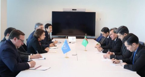 Туркменистан и ООН рассмотрели ключевые вопросы взаимодействия