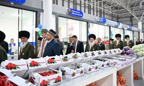 Совместные проекты Туркменистана и Узбекистана охватывают промышленность и АПК