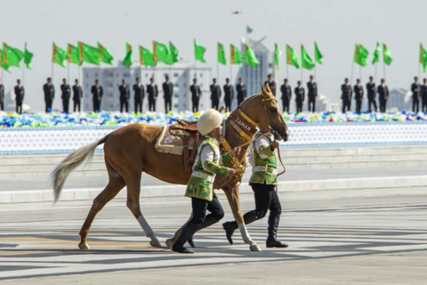 Сердару Бердымухамедову подарили ахалтекинского скакуна 