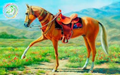 Ахалтекинский конь — символ наследия и гордости Туркменистана