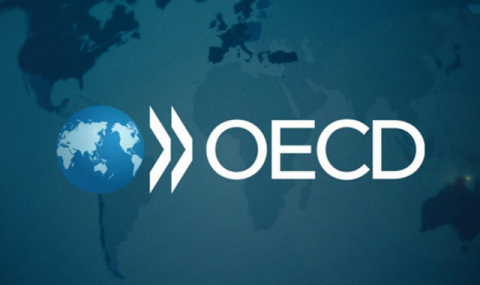 Туркменистан активизирует взаимодействие с ОЭСР в налоговой сфере