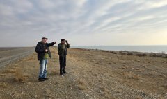 В Туркменистане проходят зимние учёты водно-болотных птиц