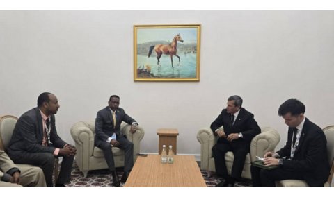 Глава МИД Туркменистана встретился с министром транспорта и логистики Эфиопии