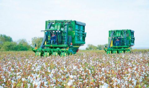 В Туркменистане сбор хлопка начнется 10 сентября