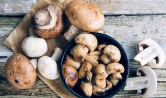 На севере Туркменистана запущена современная грибная теплица