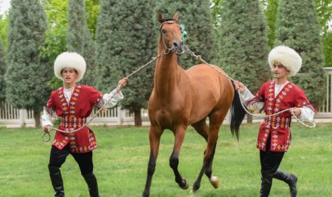 Весенние скачки в Туркменистане показывают мощь ахалтекинцев