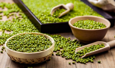 На севере Туркменистана завершена посадка зернобобовых и масляничных культур