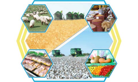 В Балканском велаяте продолжаются аграрные работы и строительство объектов