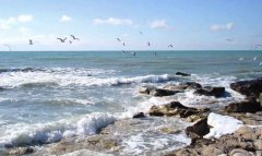 Туркменистан усиливает экологическое сотрудничество по Каспию