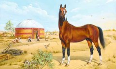 Туркменистан сохраняет наследие ахалтекинских скакунов