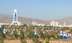 В Туркменистане высажено около трёх миллионов деревьев