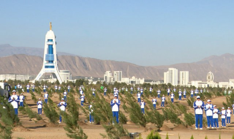 В Туркменистане высажено около трёх миллионов деревьев