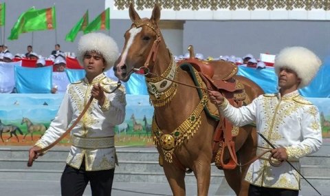 Президенту Туркменистана подарили скакуна по имени Ватан