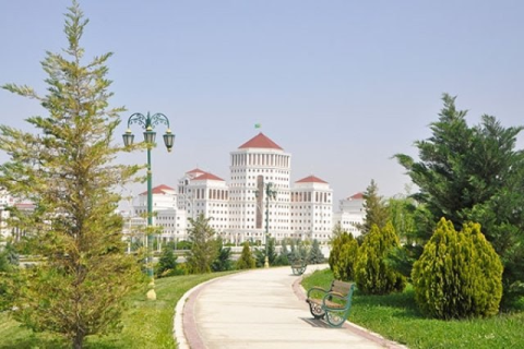 Проект Национальной лесной программы Туркменистана вынесен на обсуждение