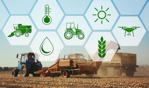 АПК Туркменистана демонстрирует рост производства