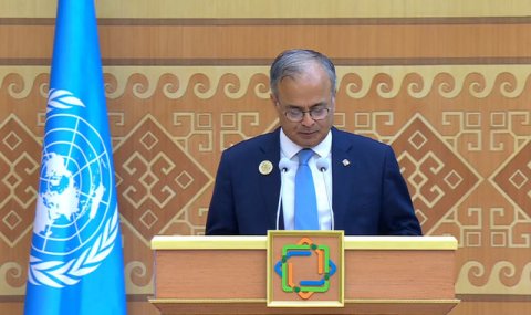 ОЭС обозначила ключевые направления поддержки стран РСНВМ