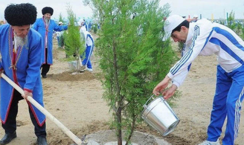 В Туркменистане ведется работа по обновлению Национальной лесной программы