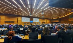 Туркменистан расширяет сотрудничество с ОДВЗЯИ на заседании в Вене